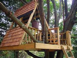 Building A Treehouse Of Your Dreams