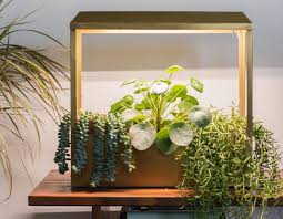 Smart Growhouse