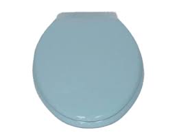 Light Turquoise Elongated Toilet Seat