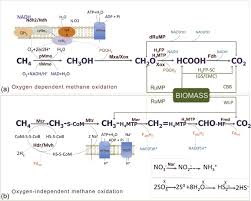 Methane Oxidation An Overview