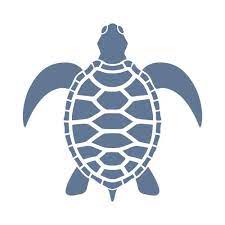 Simple Turtle Turtles Vector Images