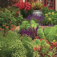 Design A Garden With Bold Colors