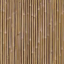 Bamboo Wall Wallpaper Natural