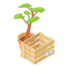 100 000 Plant Box Vector Images