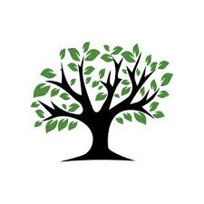 Tree Symbol Images Browse 474 Stock