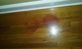 Removing Pet Urine Stains From Hardwood