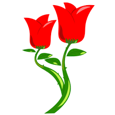 Red Flower Icon Png Images Vectors