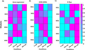 Icon Gems Integration Of Co Expression