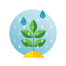 Rain Barrels Use Natural Water