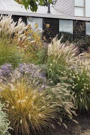Landscape Design With Ornamental