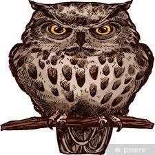Sticker Owl Bird Vector Isolated Sketch