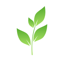 Green Leaf Icon Png Images Vectors