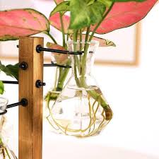 Eveage 4 3 In Plant Propagation Stations Terrarium With Wooden Stand Desktop Glass Bulb Plant Vase