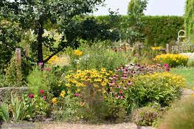How To Start And Plan A Garden In 14 Steps