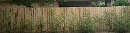 Canberra Fencing Specialists Act