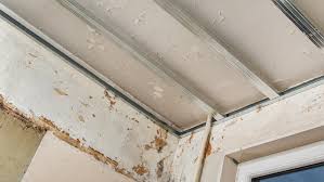 Repair Water Damaged Drywall Ceilings