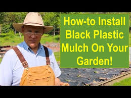 Black Plastic Mulch On Your Garden