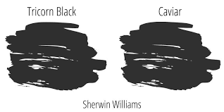 Sherwin Williams Tricorn Black Sw 6258