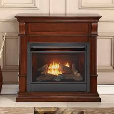 Natural Gas Fireplaces Ventless