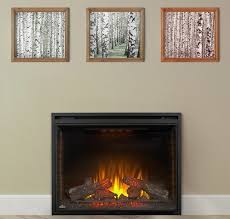 Electric Fireplaces In Washington Dc