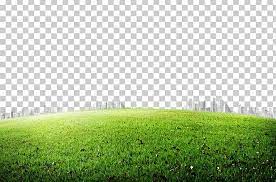 Grasses Icon Png Clipart Artificial