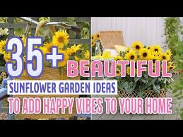 36 Beautiful Sunflower Garden Ideas To