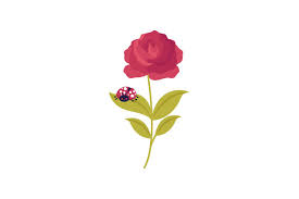 Ladybug On A Rose Svg Cut File By