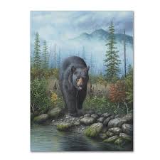 Smoky Mountain Black Bear