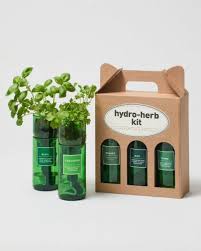 Hydro Herb Growing Kit Grow Your Own