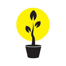 Plant Pot Logo Vector Art Icons And