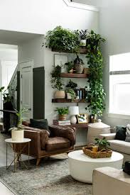 Planting Flowers Indoor Plants
