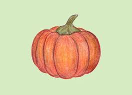 Pumpkin Drawing Images