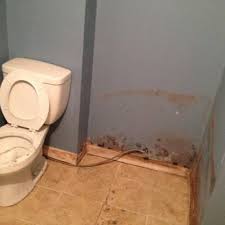Mold Men Of Pittsburgh Updated June