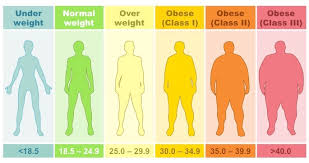 Mass Index Bmi Calculation And