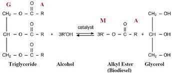 Catalyzed Transesterification Process