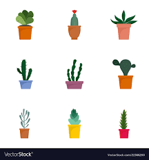 Succulent Icon Set Flat Style Royalty