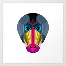 Male Mandrill Head Flat Icon Art Print