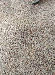 Multicolor Garden Pebbles Stone At Rs