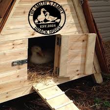 Duck House Plans