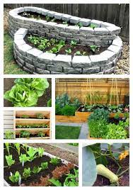 Small Backyard Garden Ideas
