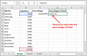 For Percentage Of Total In Excel