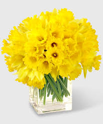 Yellow Daffodil Bouquet The Frugal