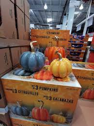 Fall Harvest Pumpkins Set Of 3