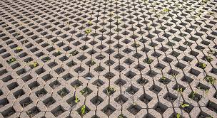 Ecofriendly Paving With Grass Sprouting