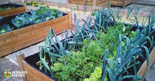 18 Benefits Of Raised Bed Gardening You