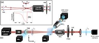 optical trapping of sub millimeter