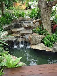 Garden Pond Landscaping