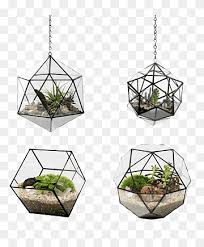 Terrarium Stained Glass Geometry Plant