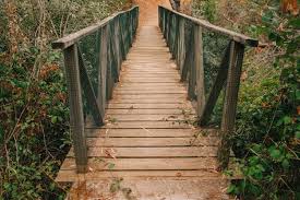 Wooden Bridge Images Free On