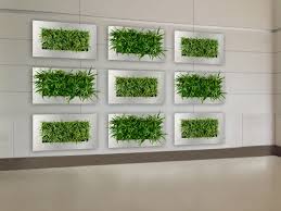 Framed Wall Planter Indoor Vertical